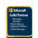 Microsoft Gold Partner badge